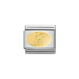 Nomination Classic Gold Oval Leo Charm