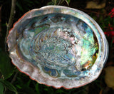 Sterling Silver and Abalone Shell Swirl Pendant